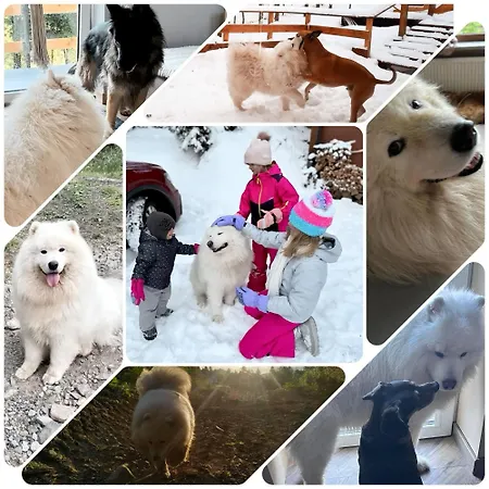 Z Sauna I Jacuzzi Na Wylacznosc - Sikorowka - Dobre Miejsce Apartment *