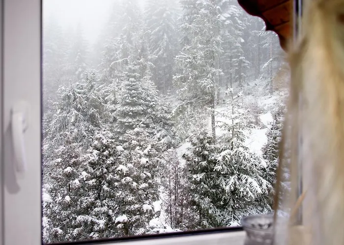 Apartman Z Sauna I Jacuzzi Na Wylacznosc - Sikorowka - Dobre Miejsce Wisła