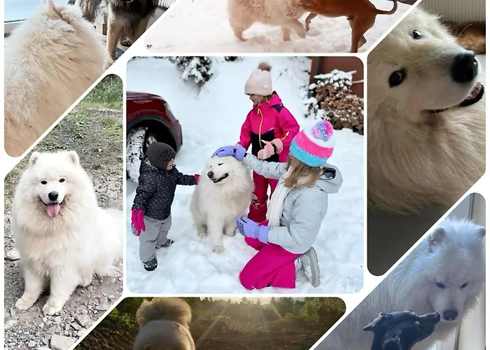 Z Sauna I Jacuzzi Na Wylacznosc - Sikorowka - Dobre Miejsce Apartman *